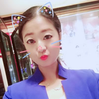 上海伴游云纹梦纷蝶