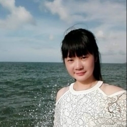 沈阳伴游reset