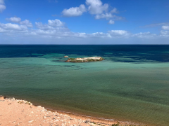 深圳伴游flyingcat